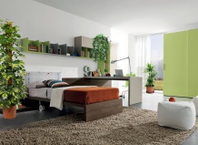 Растения в доме. Часть 2 Спальня