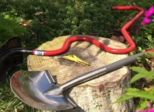 10 заблуждений о садоводстве