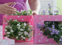 Цветочный этикет - как правильно подобрать букет