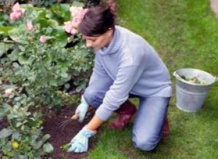 Сорняки, прощайте!