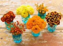 Как собирать семена