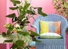 Как комнатные растения реагируют на стрессовые ситуации