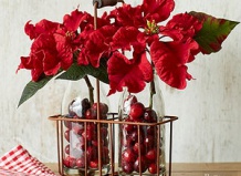 Пуансетия как срезанный цветок