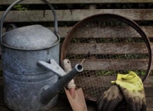 6 трендов модного садоводства 