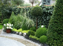 Летняя обрезка и формировка лиственных и хвойных растений