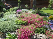 Топ-10 почвопокровных для солнечного участка