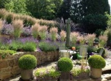 Злаковые травы – распространенные вопросы и заблуждения