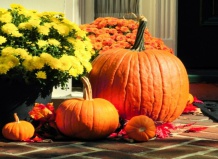 12 вариантов украшения входных дверей осенью