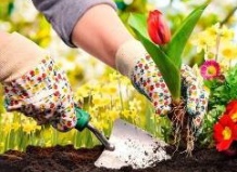 Чтобы работа в саду приносила радость
