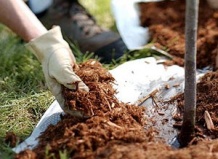 Готовим сад к зиме