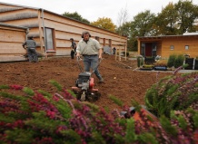 Вересковый сад: правила создания и ухода