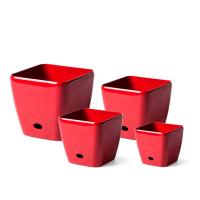 KV 4542 Червоний купить