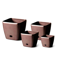 KV 4542 ШОКОЛАДНИЙ купить