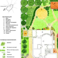 Підготовчі роботи під озеленення: планування території під озеленення вручну, м/кв. купить