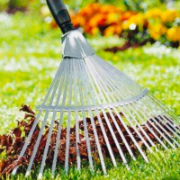 Вичісування газону вручну, ціна за м/кв. купить