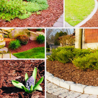 Влаштування декоративного засипання з використанням мульчуючих матеріалів, ціна за м/кв. купить