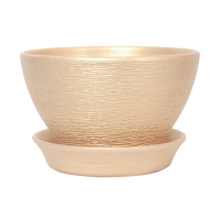 КС Фіалочниця 13 люкс персик купить