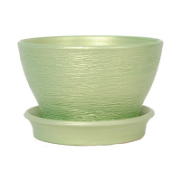 КС фіалочниця 19 люкс салат купить