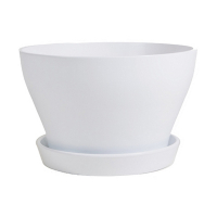 Бокарнейница глянец белый купить