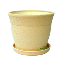 Флорис №1 шелк бежевый купить