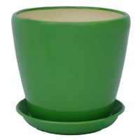 Грація №3 зелений глянець купить