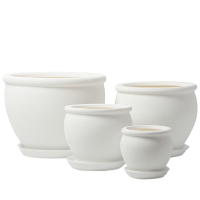 В'єтнам №4 білий шовк купить