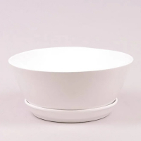 Бонсайница Новая 5,5л глянец белый купить