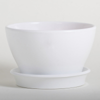 КС Фиалочница 19 глянец молочный купить