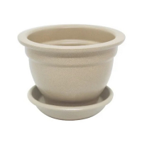 Фіалочниця 0,5л крихта бежева купить