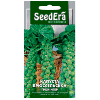 Капуста брюссельська Гронінгер Seedera 0.5г купить