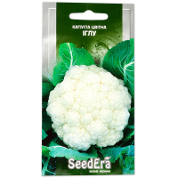 Капуста цвітна Голку Seedera 30шт купить
