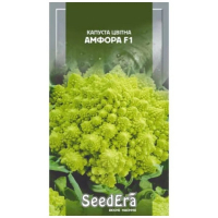 Капуста цвітна Амфора F1 Seedera, 30 шт купить