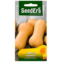 Тыква Новинка 3г купить