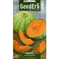Диня канталупа (Тайська диня), 10 шт. SeedEra купить