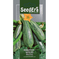 Кабачок-цукини Матрос, 2 г SeedEra купить
