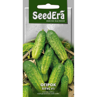 Огірок Титус F1 Seedera 0,5г купить