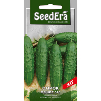 Огірок Фенікс 640 Seedera 1г купить