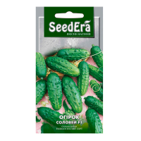 Огірок Соловей F1 Seedera 0.5г купить