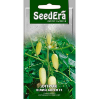 Огірок Білий Ангел F1 0.5г купить