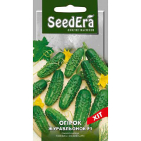 Огірок Журавленок F1 SeedEra 5г купить