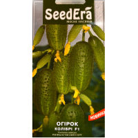 Огірок Колібрі F1 SeedEra 10шт купить