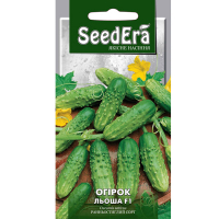 Огірок Льоша F1 Seedera 0,5г купить