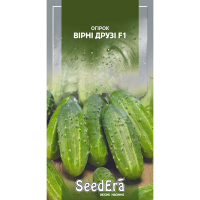 Огурец Верные друзья F1 Seedеra 10шт купить