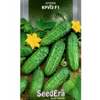 Огірок Круїз F1 Seedera 0,5г купить