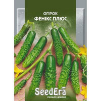 Огірок Фенікс плюс Seedera 10г купить