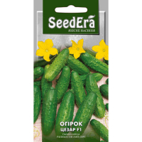 Огурец Цезарь F1 Seedеra 5г купить