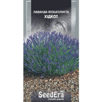 Лаванда английская узколистная Хидкот Seedera, 0,1 г купить