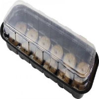 Міні-тепличка для розсади + 12 торф'яних таблеток купить