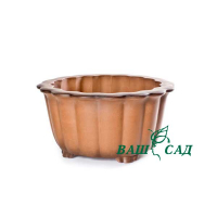 Вазон для бонсай купить