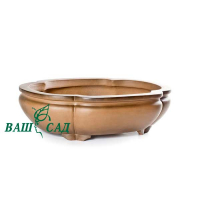 Вазон для бонсай купить